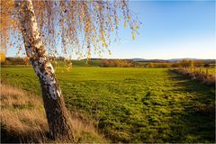 HerbstLeuchten