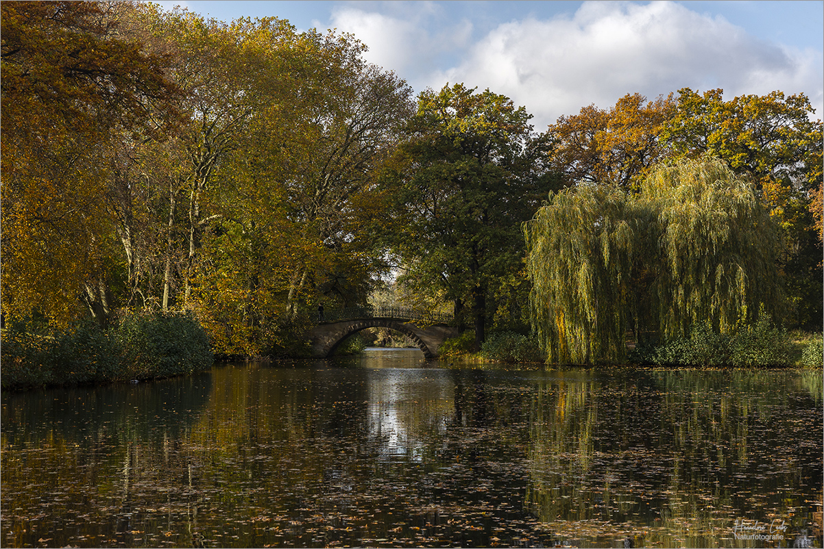 Herbstleuchten