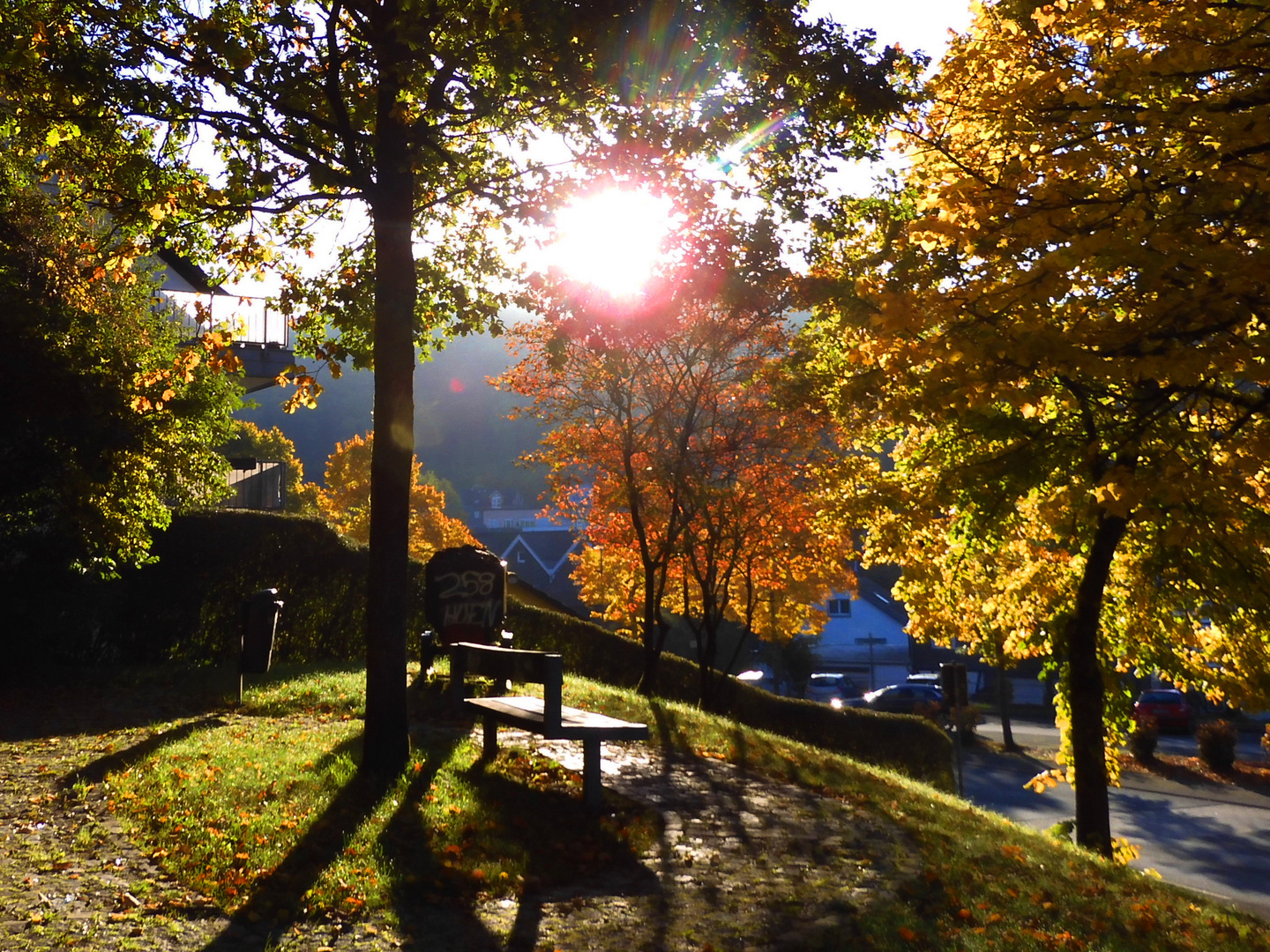 Herbstleuchten