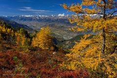 Herbstleuchten