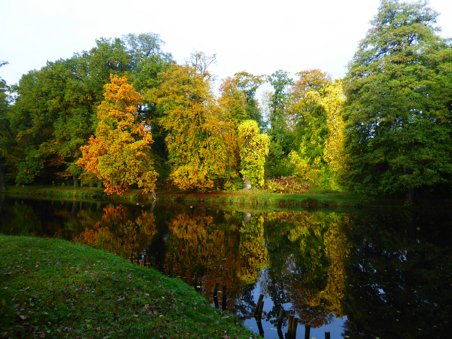 Herbstleuchten