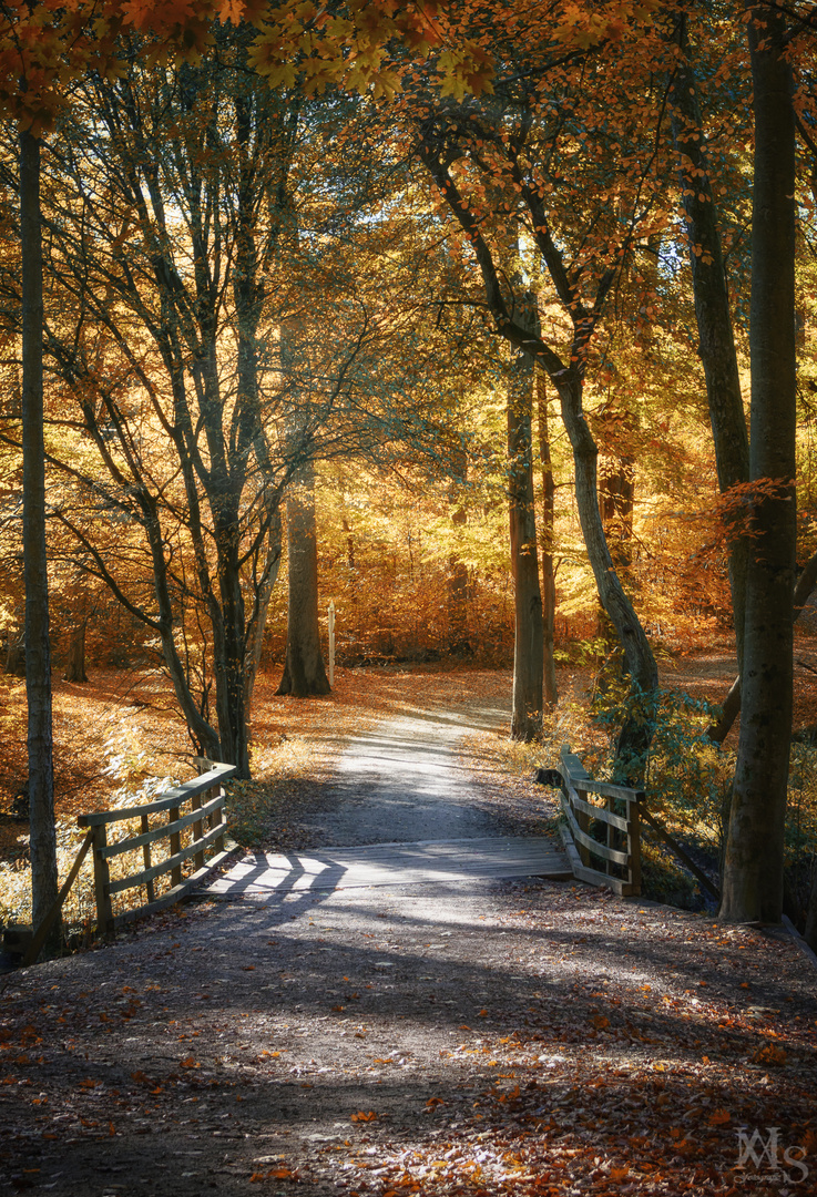 Herbstleuchten