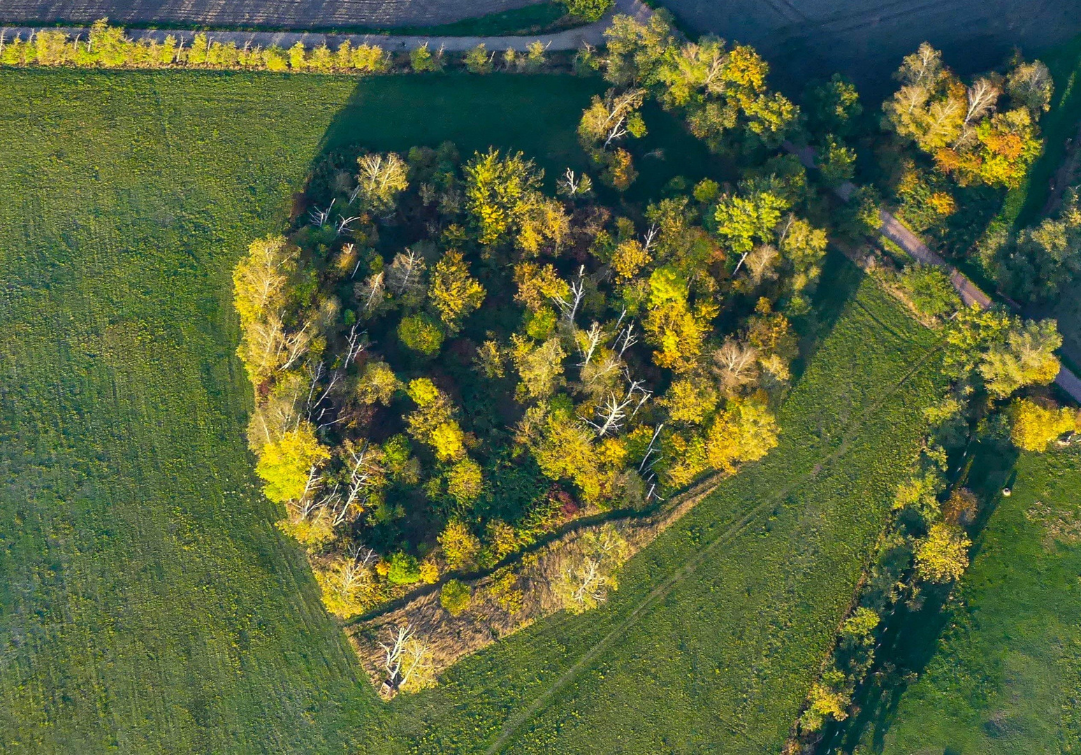 Herbstleuchten