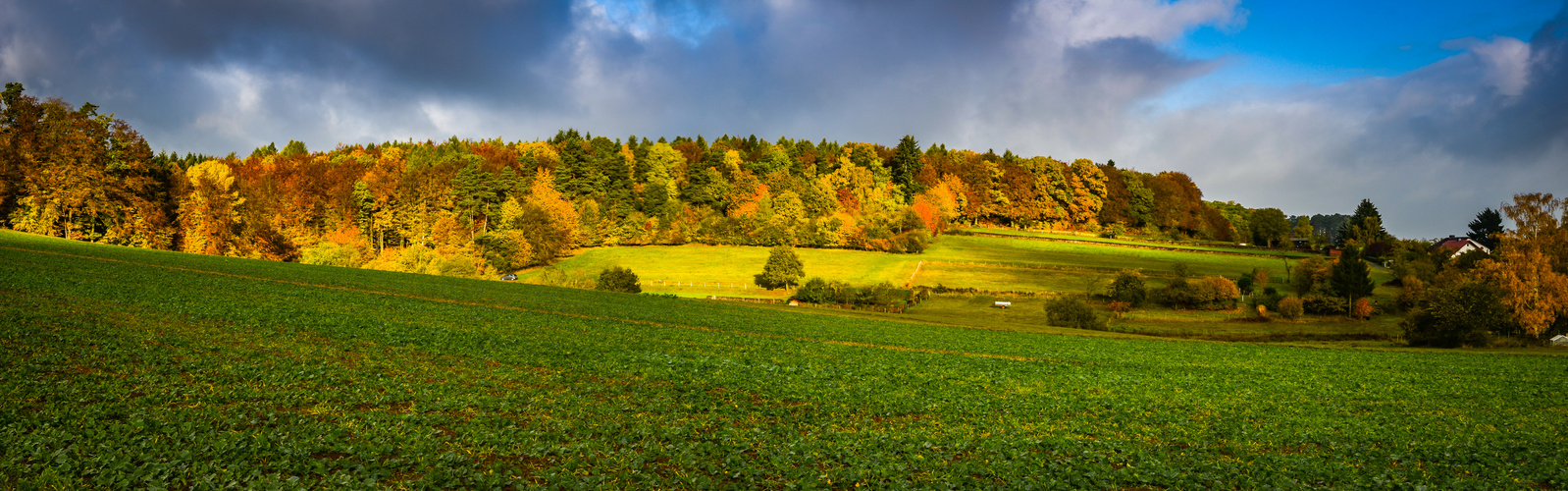 Herbstleuchten