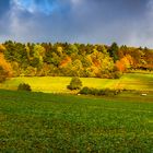 Herbstleuchten