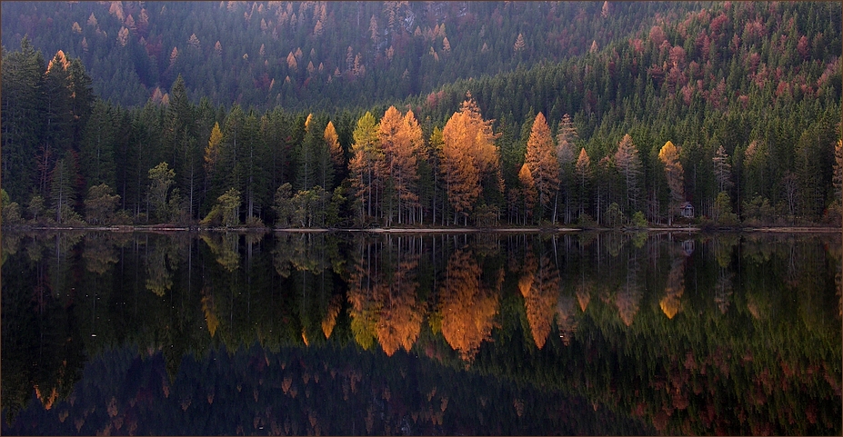 Herbstleuchten