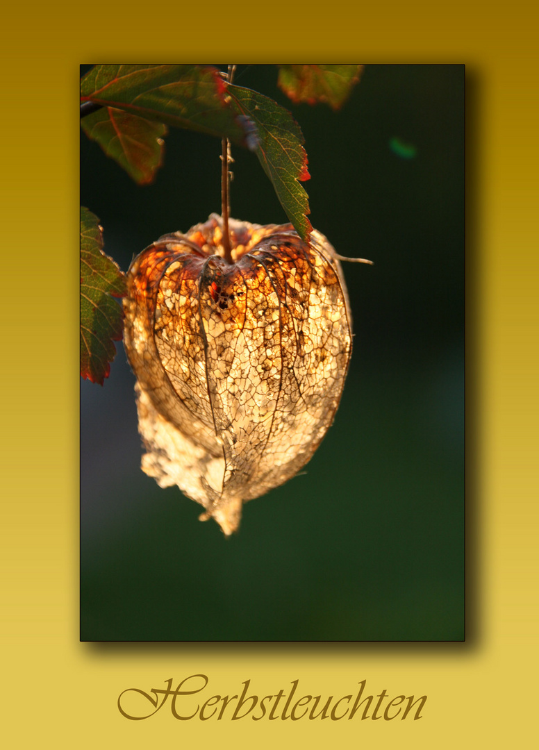 Herbstleuchten