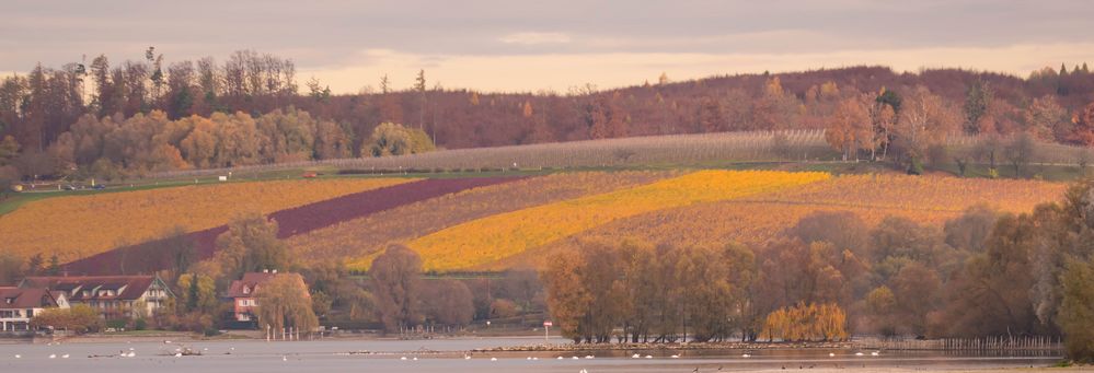 Herbstleuchten