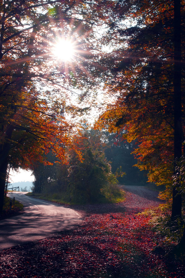 Herbstleuchten