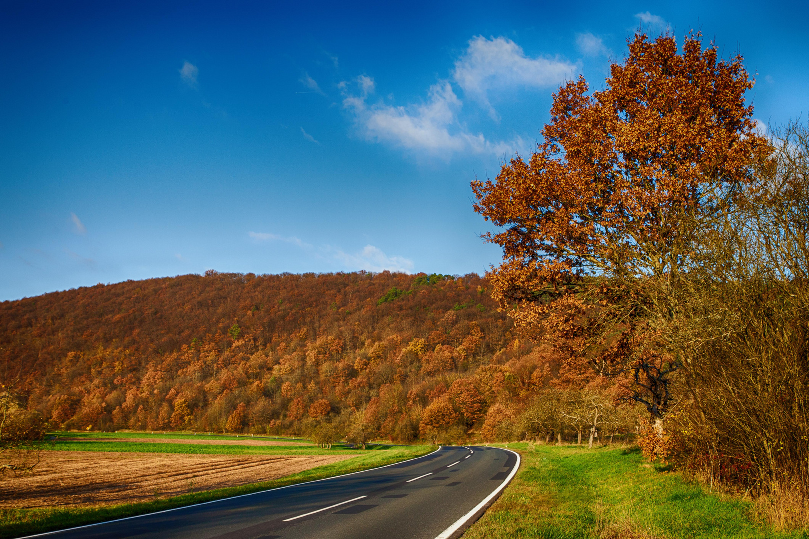 Herbstleuchten