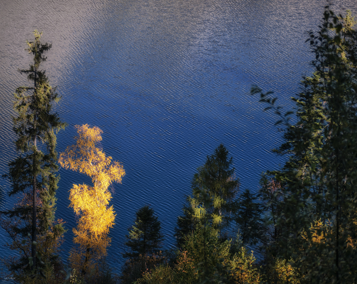 Herbstleuchten