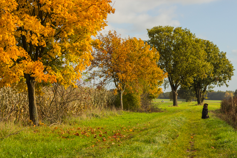 Herbstleuchten