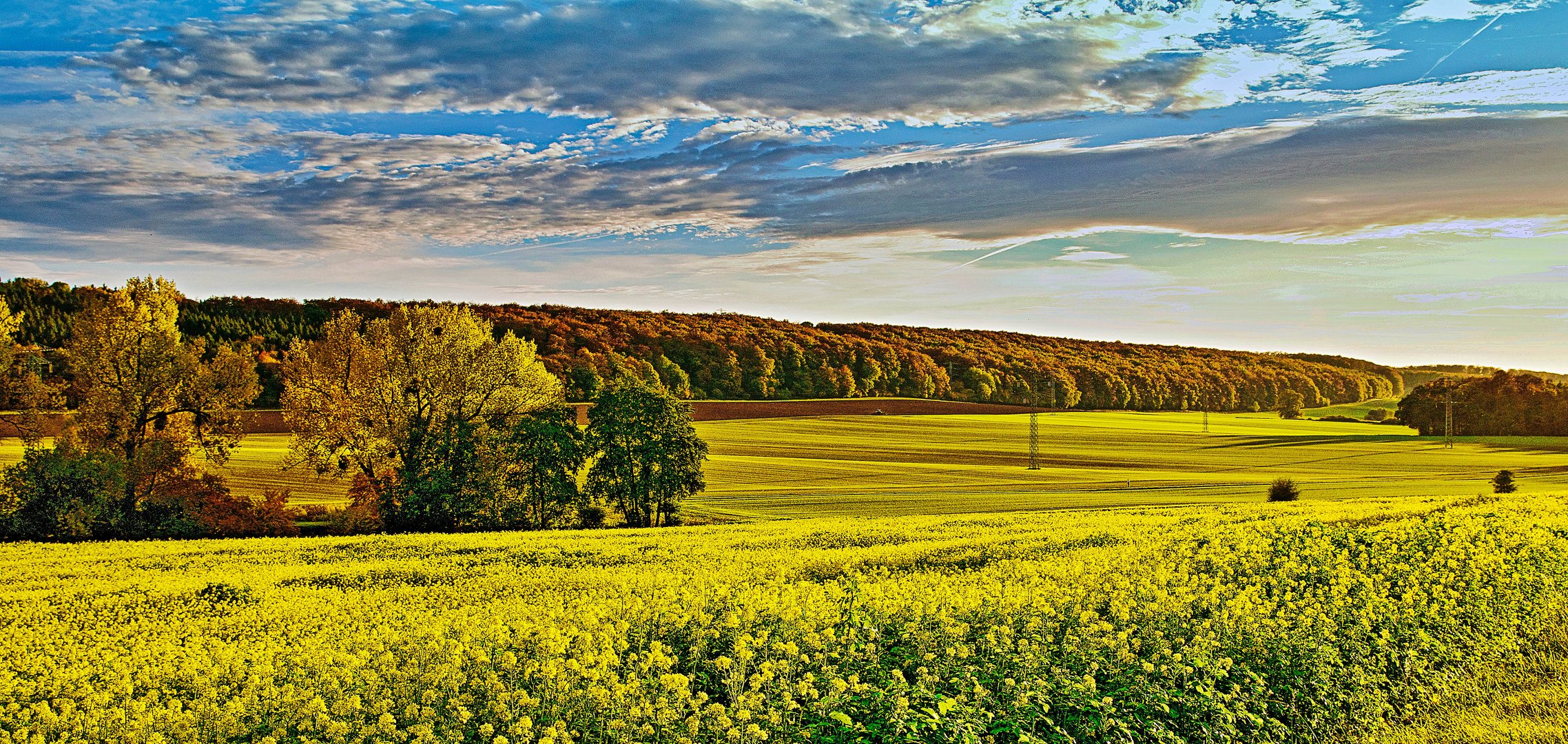 ...Herbstleuchten...