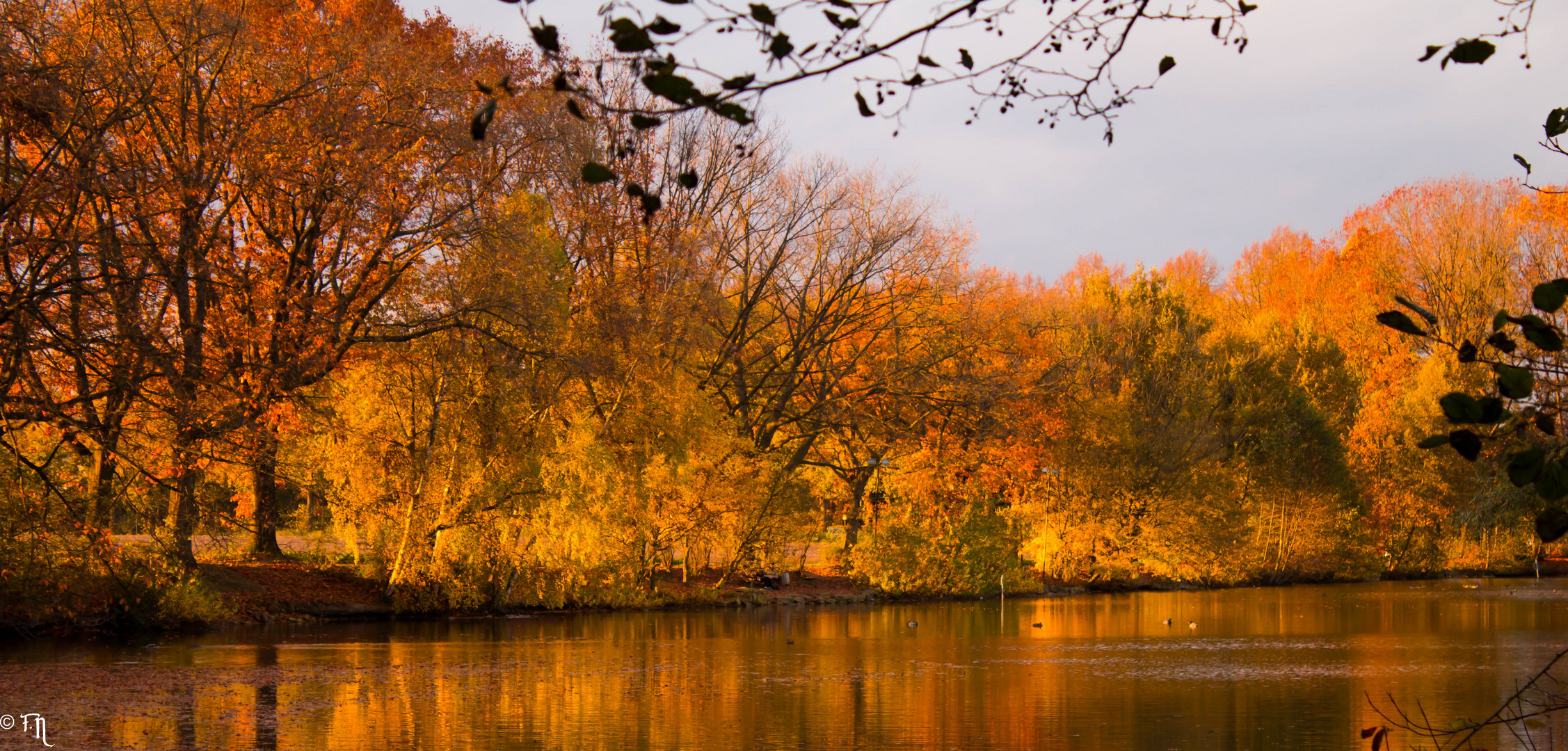 Herbstleuchten