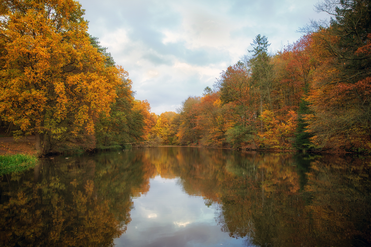 Herbstleuchten