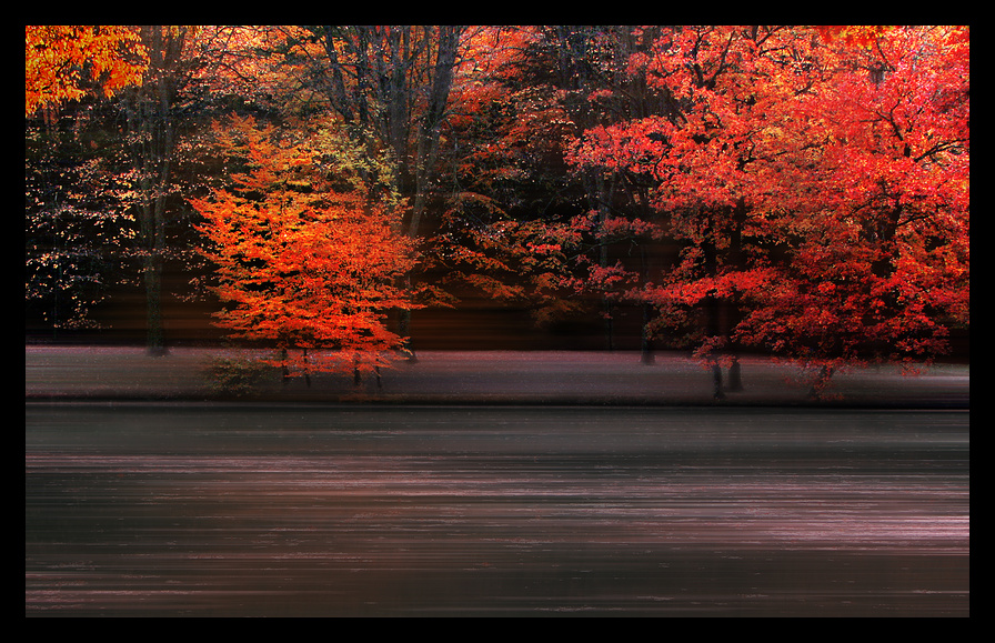 Herbstleuchten