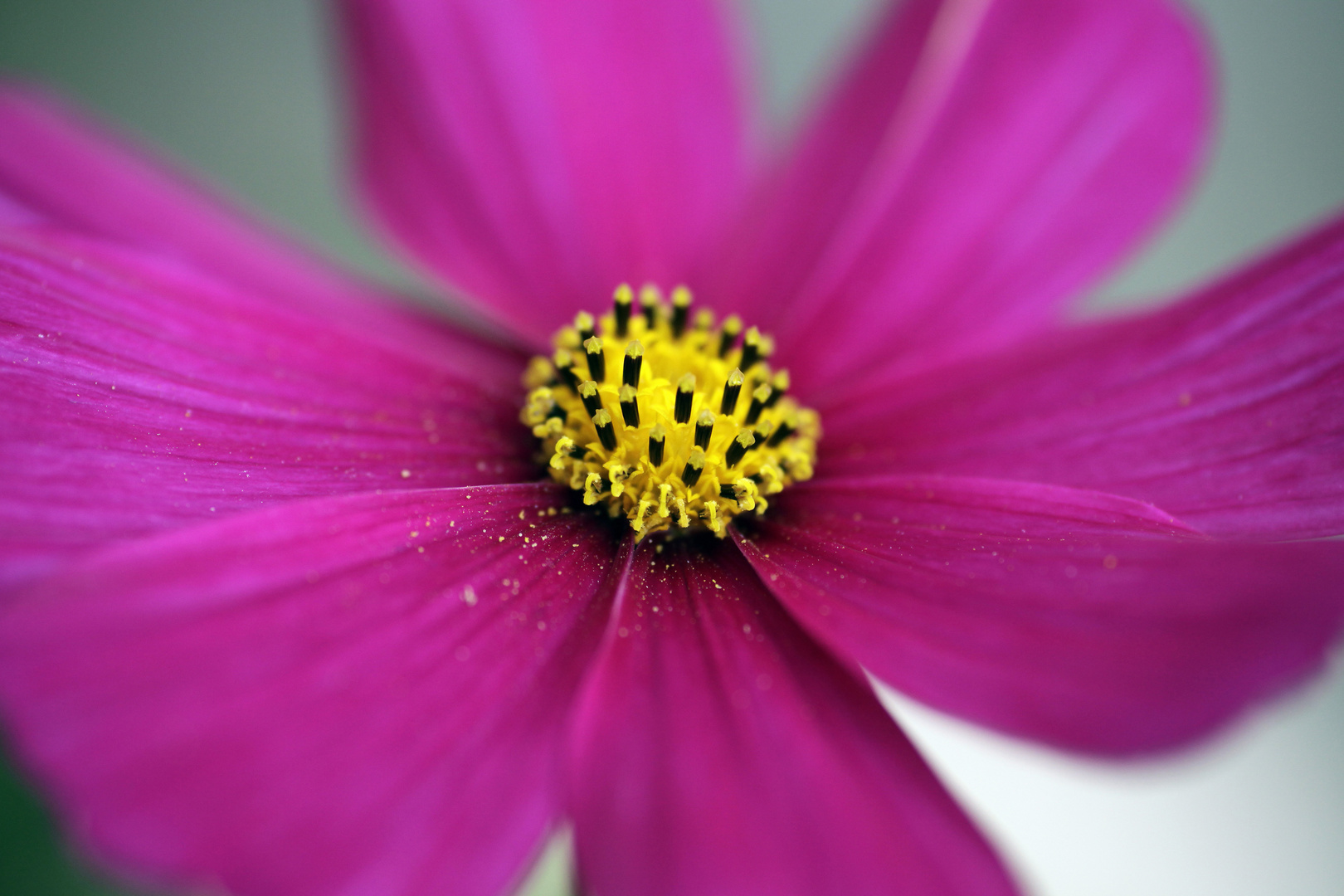 herbstleuchten