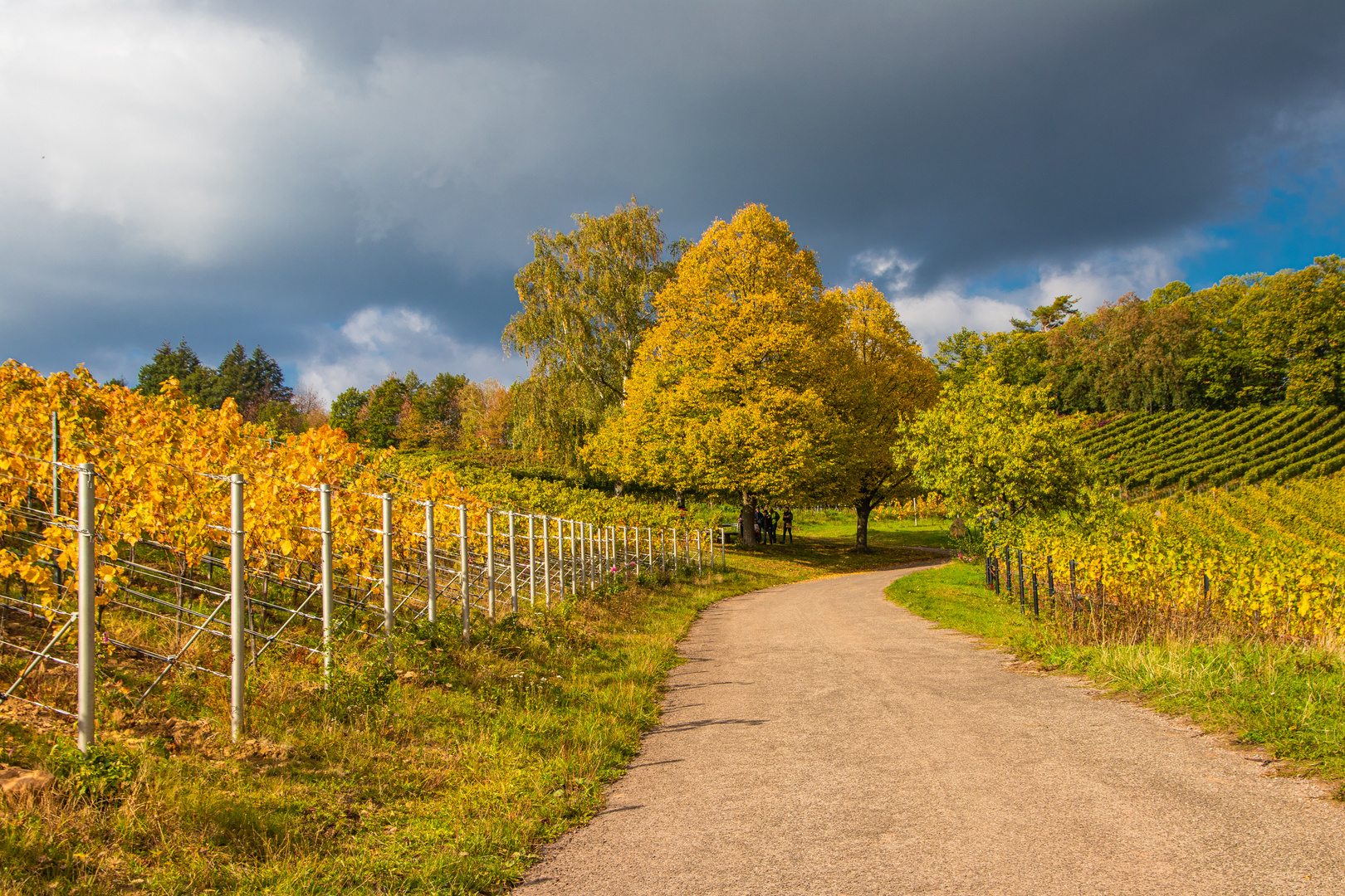 Herbstleuchten