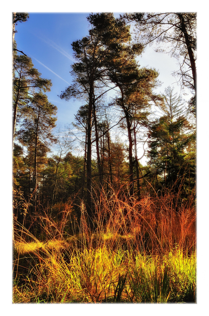 herbstleuchten