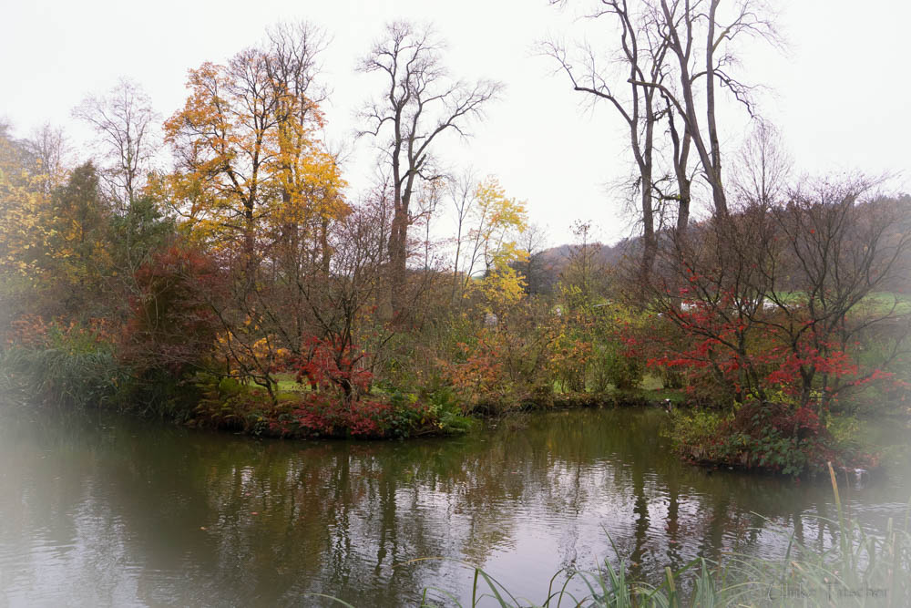 Herbstleuchten