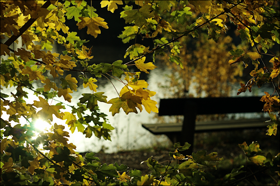 * Herbstleuchten *