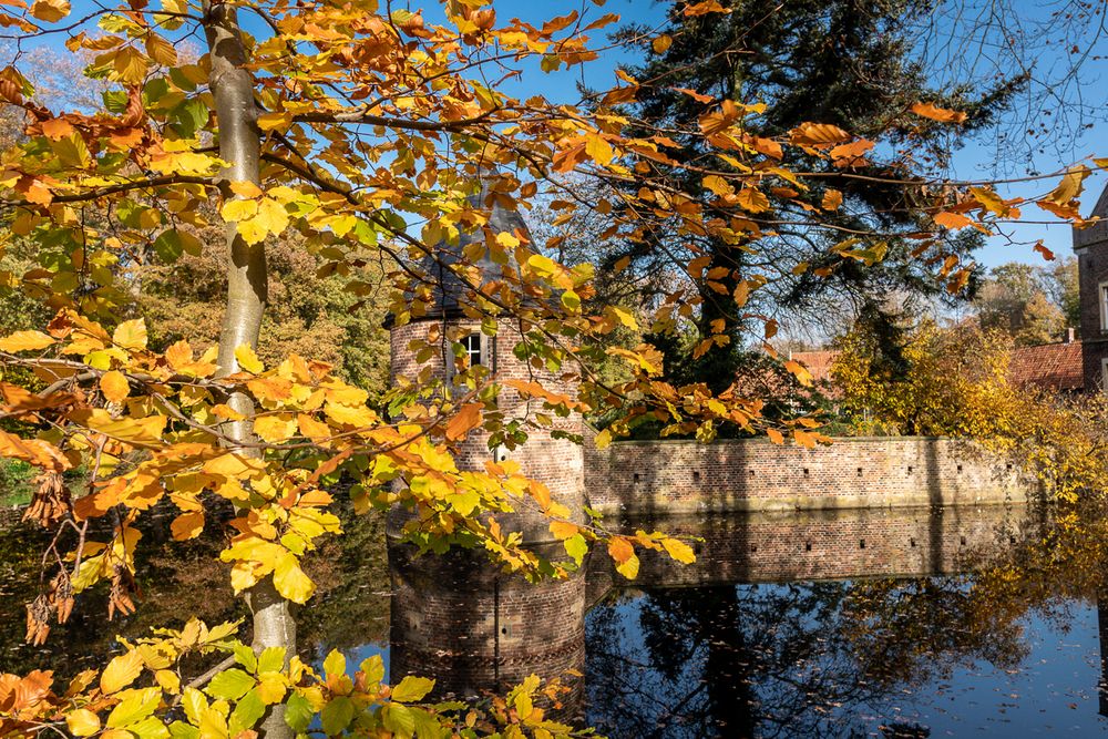 Herbstleuchten