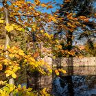 Herbstleuchten