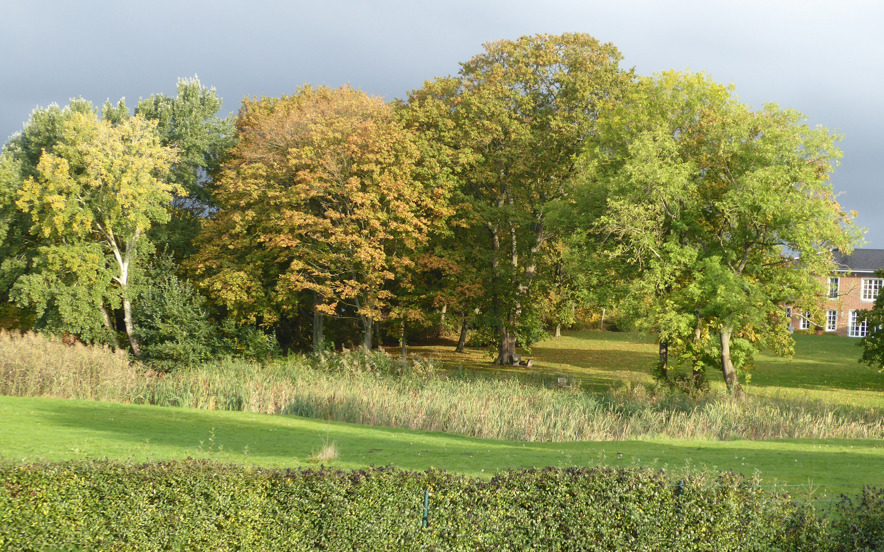 Herbstleuchten