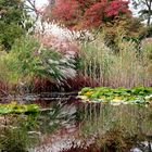 Herbstleuchten