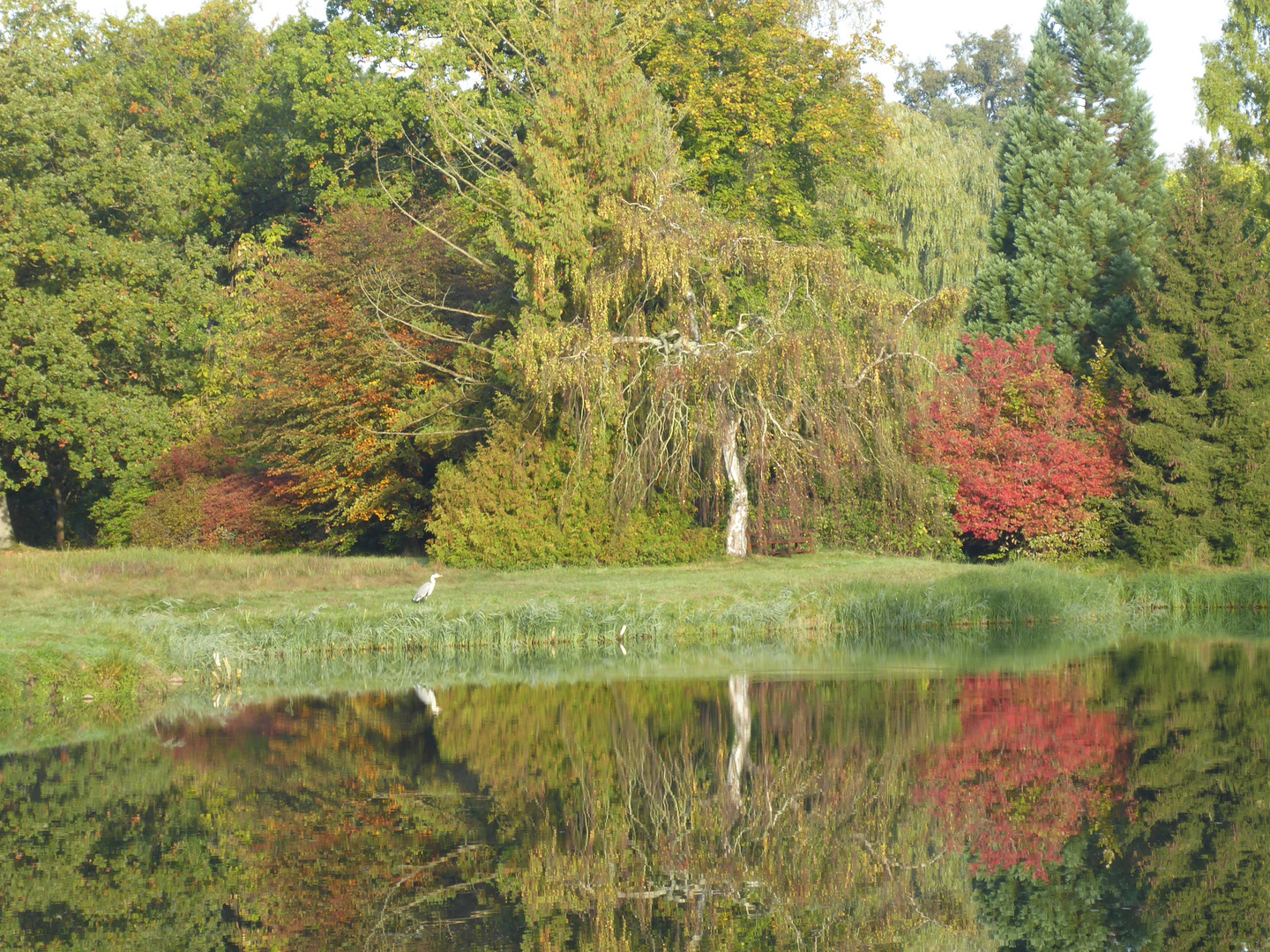 Herbstleuchten