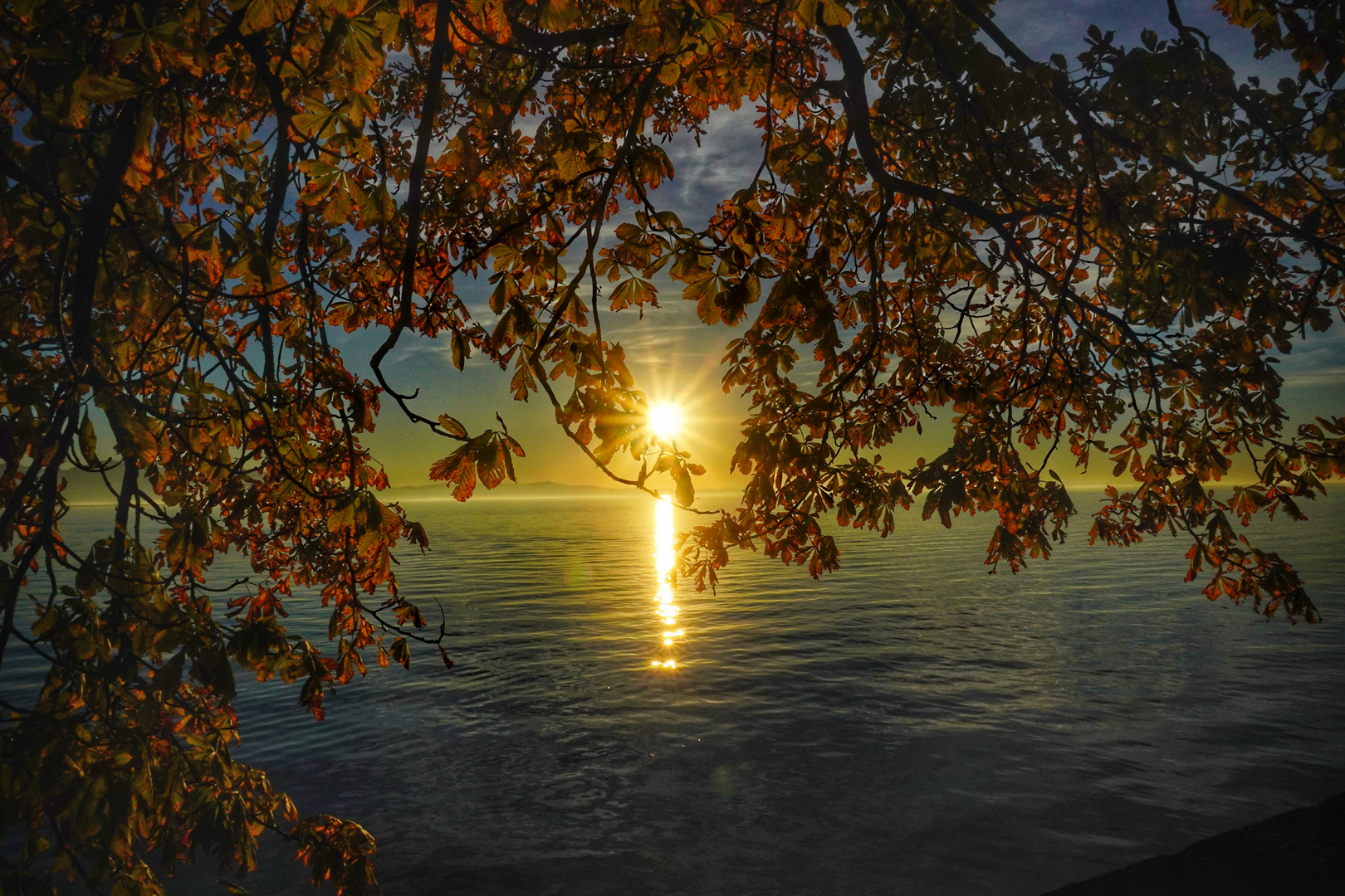 Herbstleuchten am Abend 