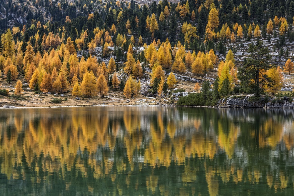 *Herbstleuchten am Grünsee*