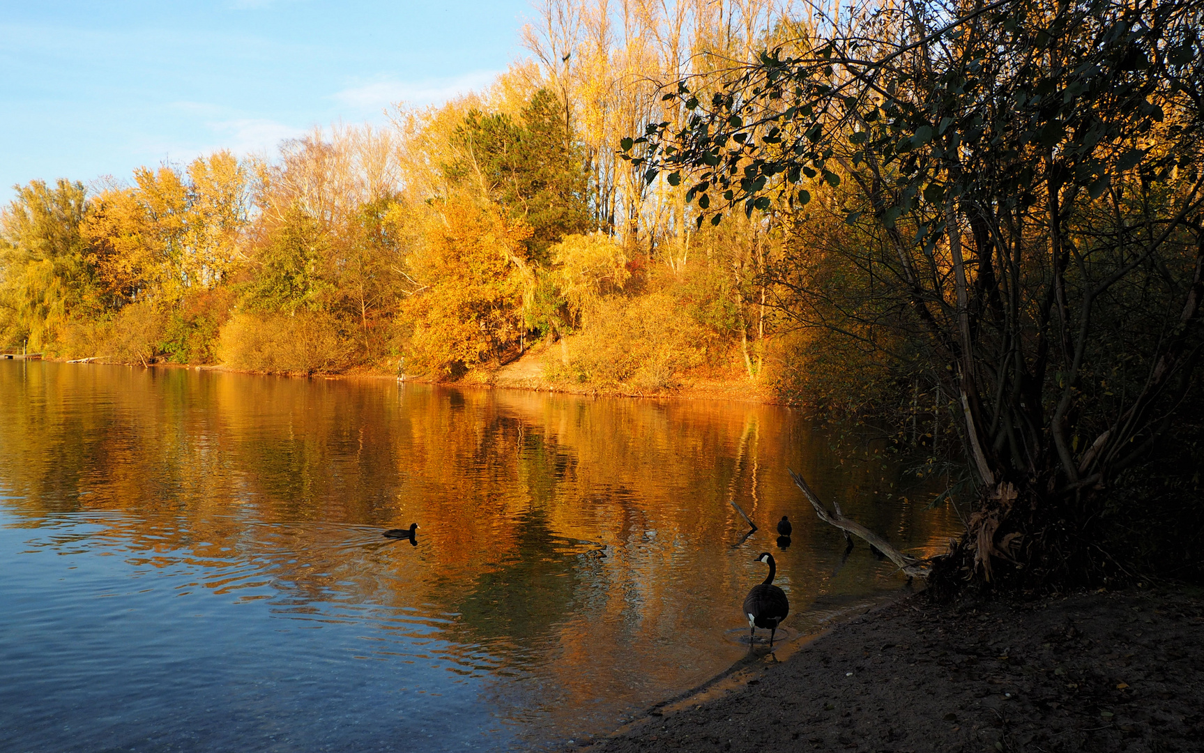 Herbstleuchten am See …