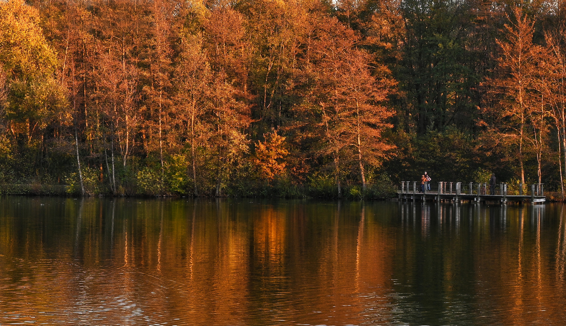 Herbstleuchten am See mit Steg