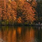 Herbstleuchten am See mit Steg