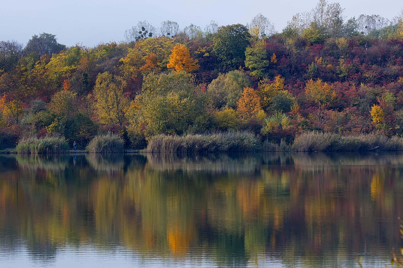 Herbstleuchten am Teich (3)