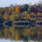 Herbstleuchten am Teich (3)