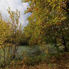 Herbstleuchten am Teich