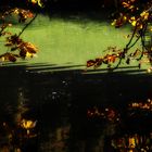 Herbstleuchten am Teich