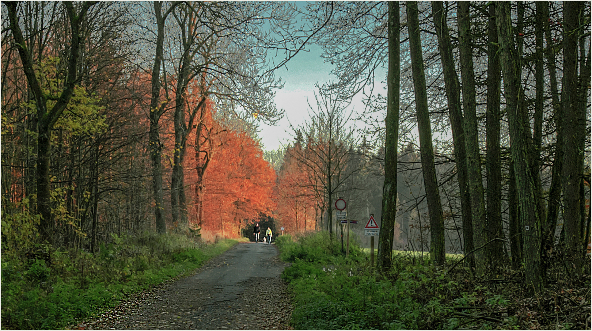 Herbstleuchten am Waldrand