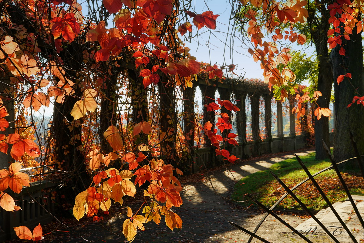 Herbstleuchten an den Weinberg-Arkaden