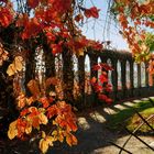 Herbstleuchten an den Weinberg-Arkaden