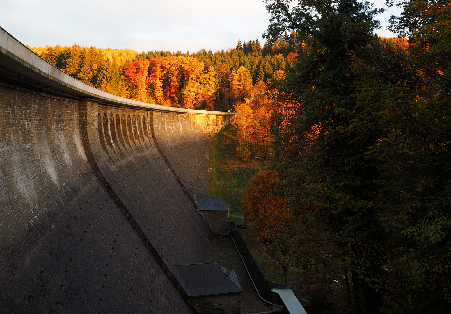 Herbstleuchten an der Aggertalsperre