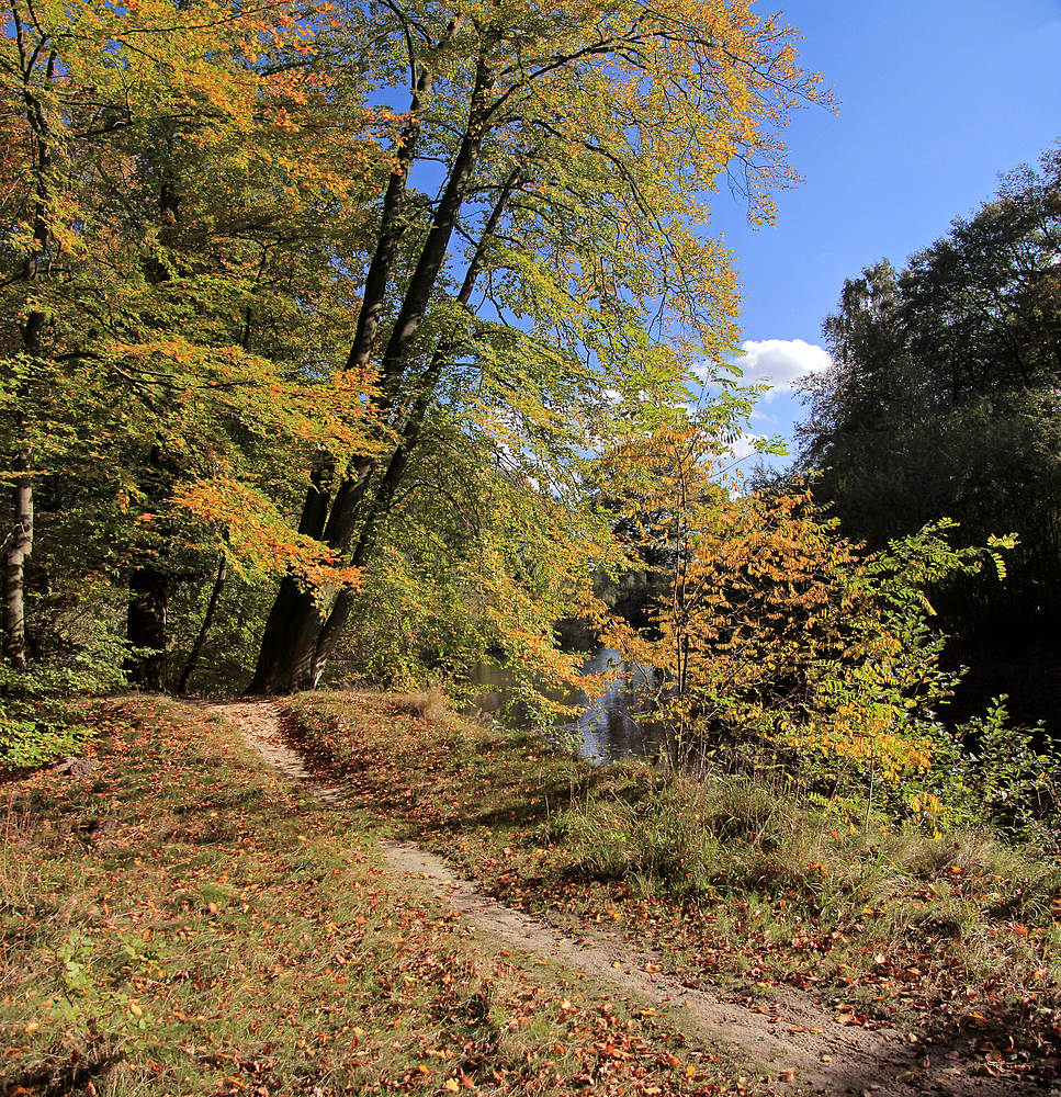 Herbstleuchten an der Hunte