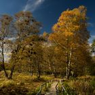 Herbstleuchten auf der Schwäbischen Alb