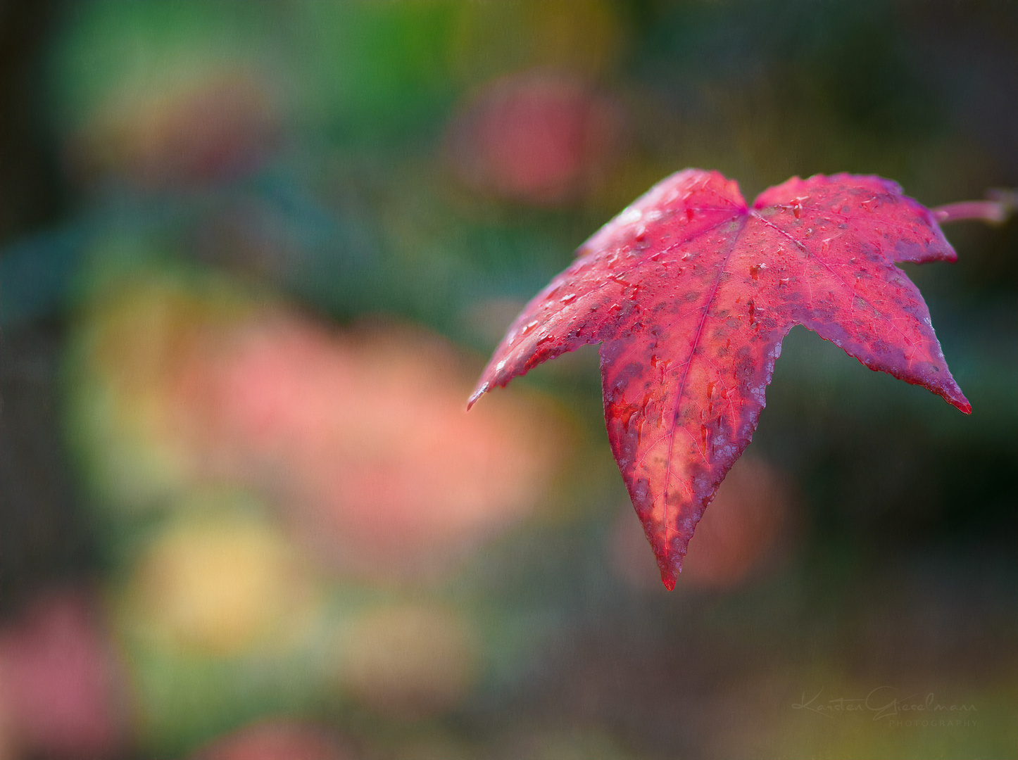 Herbstleuchten