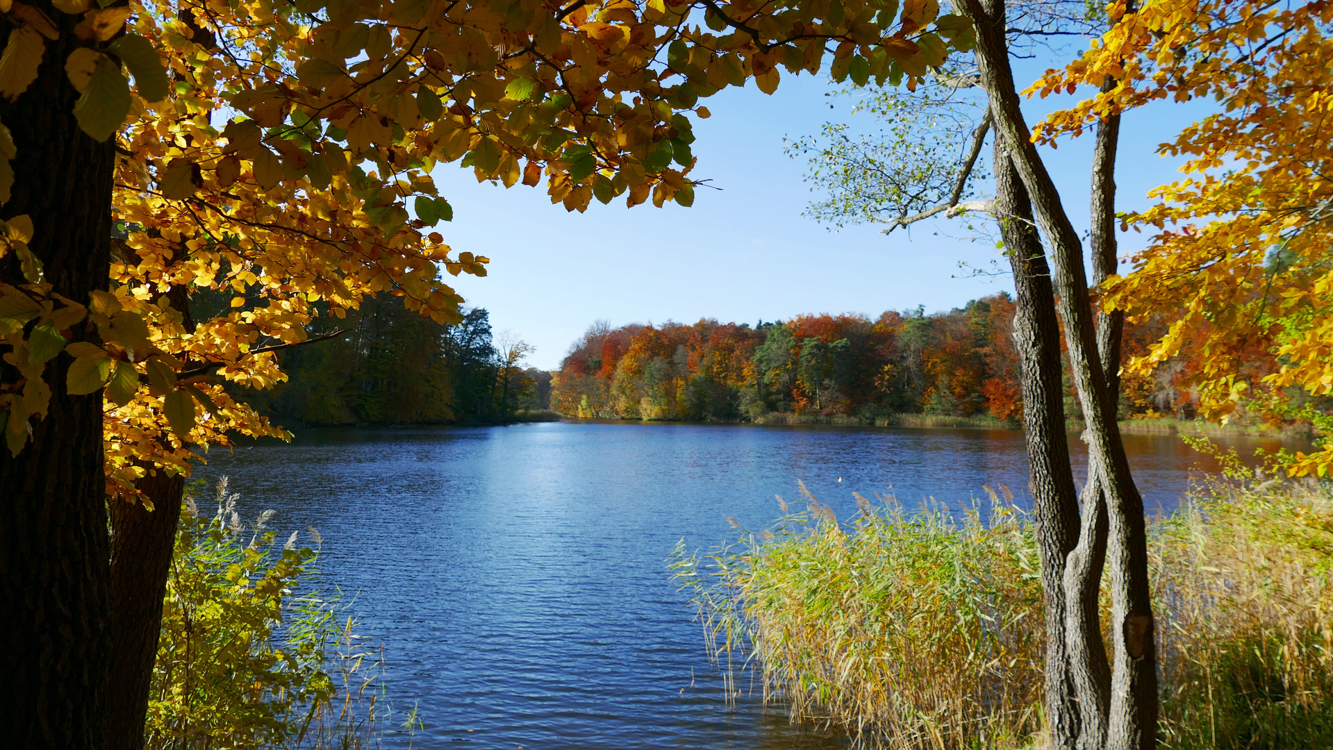 Herbstleuchten