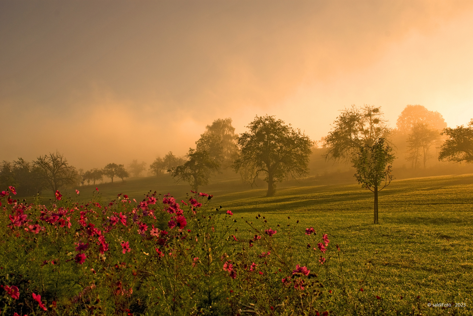 ****Herbstleuchten****