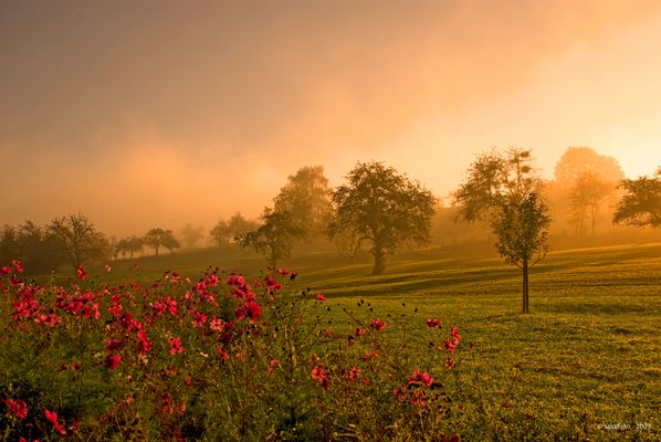 ****Herbstleuchten****
