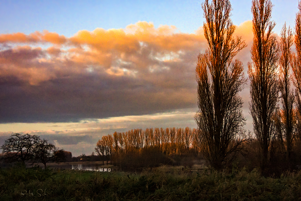 Herbstleuchten...